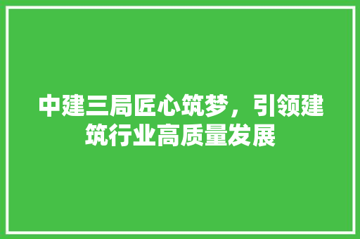 中建三局匠心筑梦，引领建筑行业高质量发展