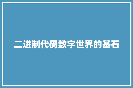 二进制代码数字世界的基石