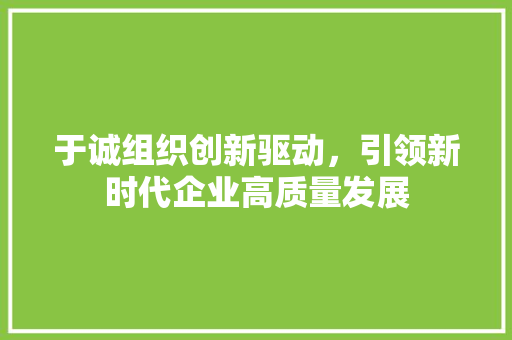 于诚组织创新驱动，引领新时代企业高质量发展