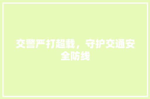 交警严打超载，守护交通安全防线