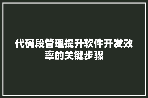 代码段管理提升软件开发效率的关键步骤