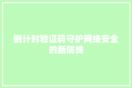 倒计时验证码守护网络安全的新防线