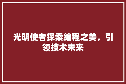 光明使者探索编程之美，引领技术未来
