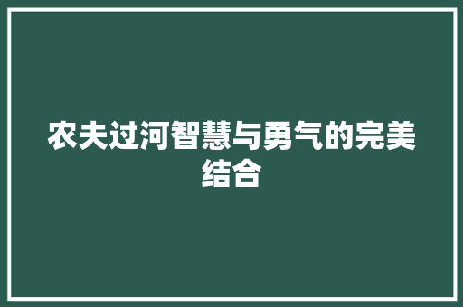 农夫过河智慧与勇气的完美结合