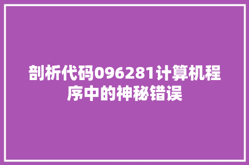 剖析代码096281计算机程序中的神秘错误