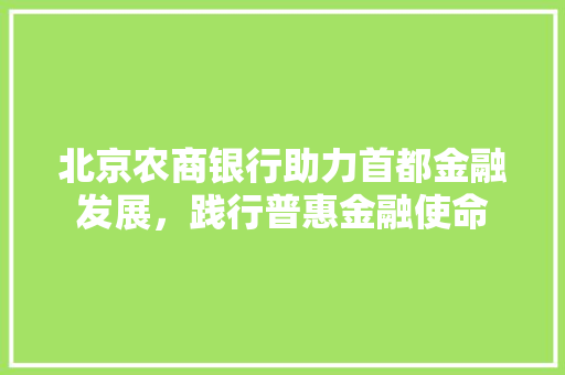 北京农商银行助力首都金融发展，践行普惠金融使命