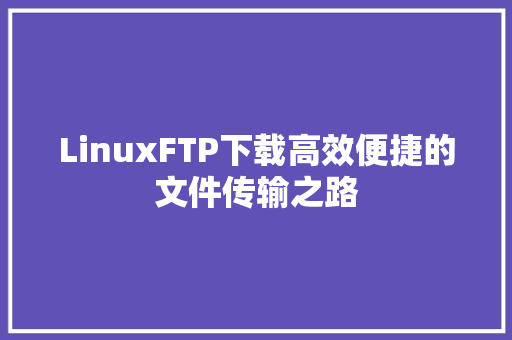 LinuxFTP下载高效便捷的文件传输之路