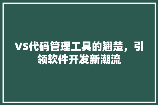 VS代码管理工具的翘楚，引领软件开发新潮流