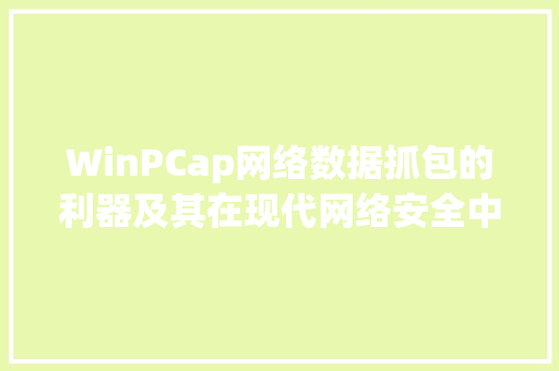 WinPCap网络数据抓包的利器及其在现代网络安全中的应用