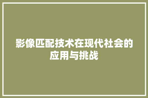 影像匹配技术在现代社会的应用与挑战