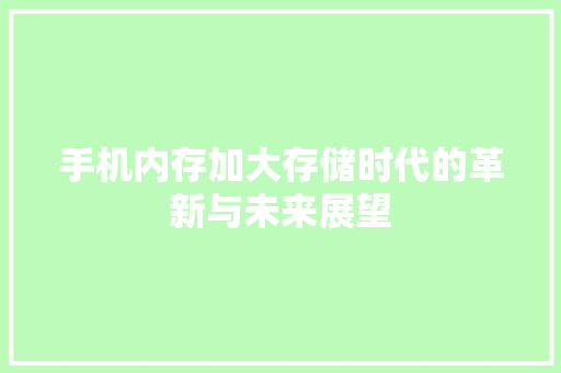 手机内存加大存储时代的革新与未来展望