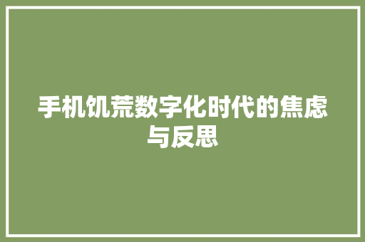 手机饥荒数字化时代的焦虑与反思