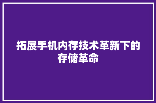 拓展手机内存技术革新下的存储革命
