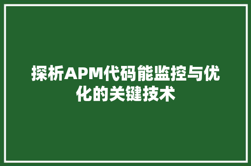 探析APM代码能监控与优化的关键技术