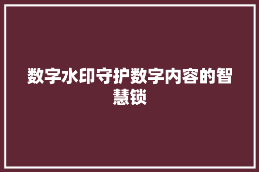 数字水印守护数字内容的智慧锁