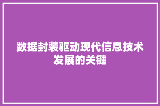数据封装驱动现代信息技术发展的关键