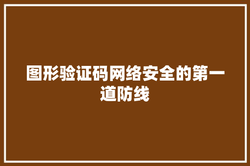 图形验证码网络安全的第一道防线