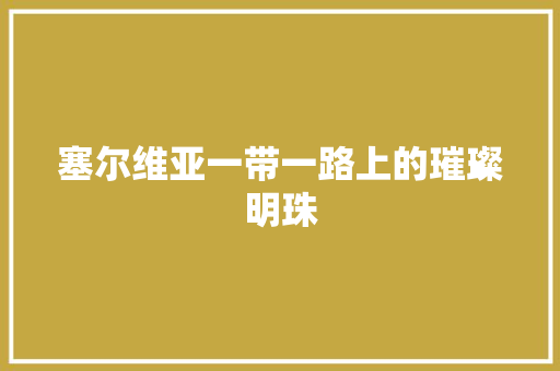 塞尔维亚一带一路上的璀璨明珠