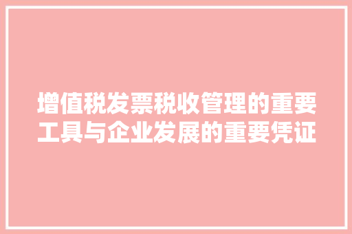 增值税发票税收管理的重要工具与企业发展的重要凭证