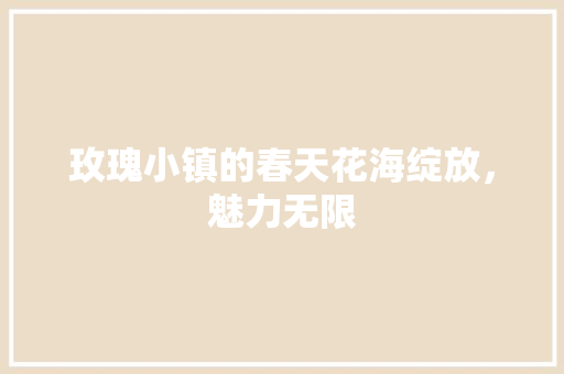 玫瑰小镇的春天花海绽放，魅力无限