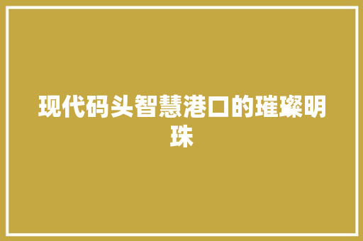 现代码头智慧港口的璀璨明珠