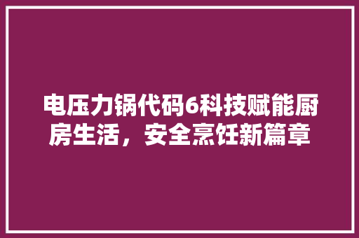 电压力锅代码6科技赋能厨房生活，安全烹饪新篇章