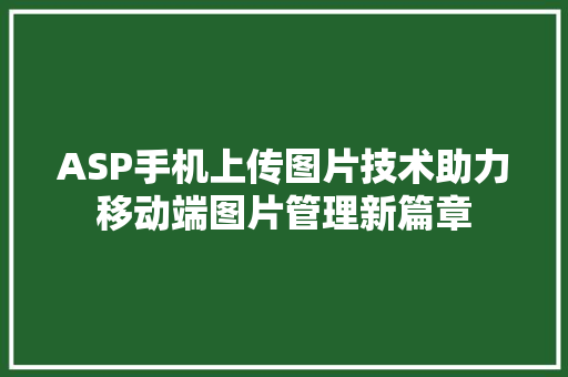 ASP手机上传图片技术助力移动端图片管理新篇章
