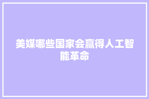 美媒哪些国家会赢得人工智能革命