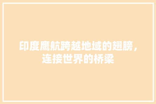 印度鹰航跨越地域的翅膀，连接世界的桥梁