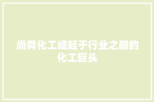 尚舜化工崛起于行业之巅的化工巨头