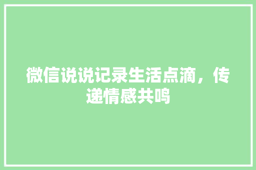 微信说说记录生活点滴，传递情感共鸣