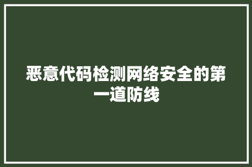 恶意代码检测网络安全的第一道防线