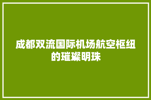 成都双流国际机场航空枢纽的璀璨明珠