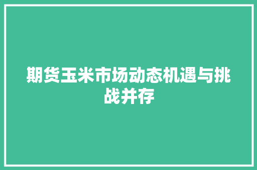 期货玉米市场动态机遇与挑战并存