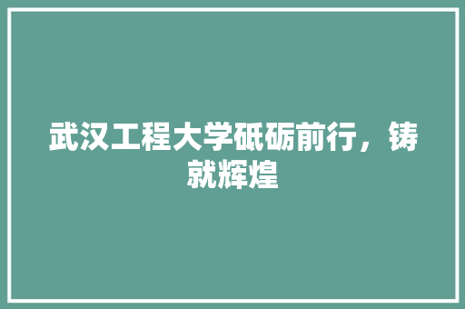武汉工程大学砥砺前行，铸就辉煌