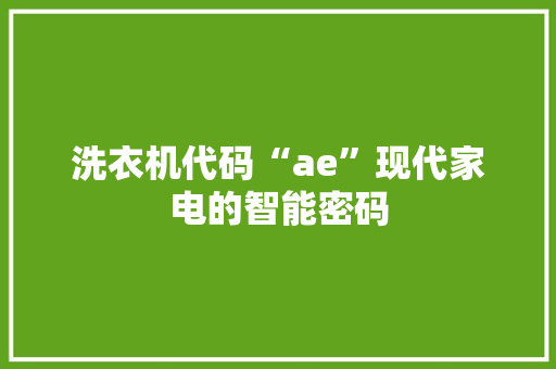 洗衣机代码“ae”现代家电的智能密码