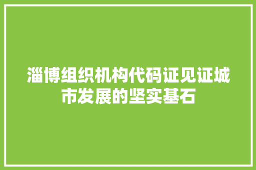 淄博组织机构代码证见证城市发展的坚实基石