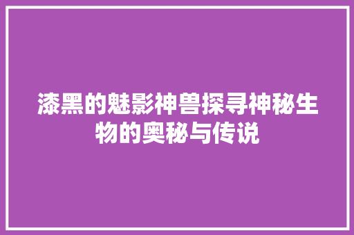 漆黑的魅影神兽探寻神秘生物的奥秘与传说