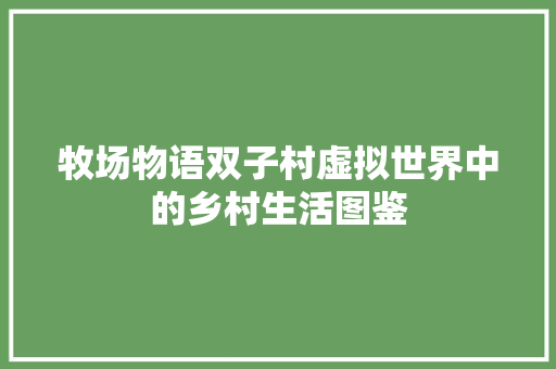 牧场物语双子村虚拟世界中的乡村生活图鉴