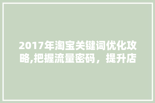 2017年淘宝关键词优化攻略,把握流量密码，提升店铺销量