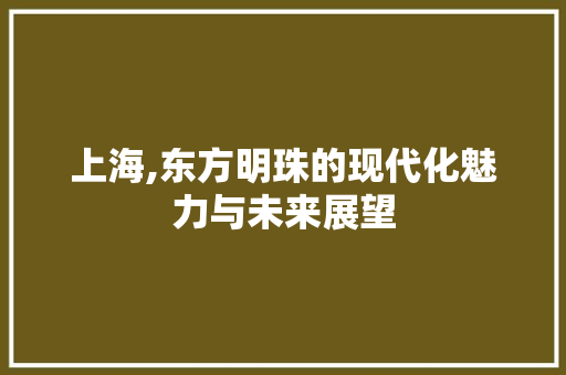 上海,东方明珠的现代化魅力与未来展望