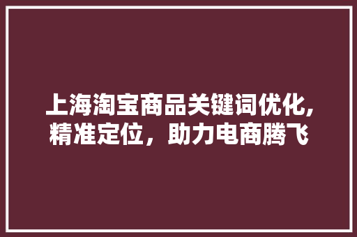 上海淘宝商品关键词优化,精准定位，助力电商腾飞