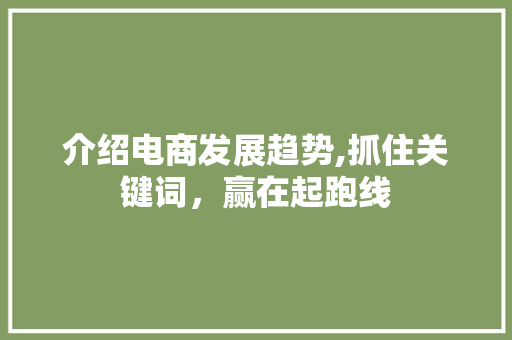 介绍电商发展趋势,抓住关键词，赢在起跑线
