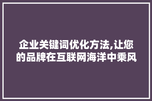企业关键词优化方法,让您的品牌在互联网海洋中乘风破浪