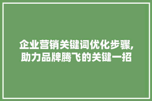 企业营销关键词优化步骤,助力品牌腾飞的关键一招