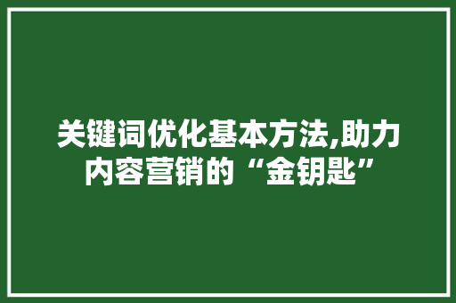 关键词优化基本方法,助力内容营销的“金钥匙”