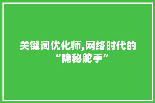 关键词优化师,网络时代的“隐秘舵手”