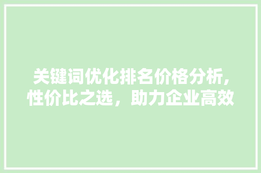 关键词优化排名价格分析,性价比之选，助力企业高效营销