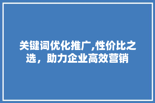 关键词优化推广,性价比之选，助力企业高效营销