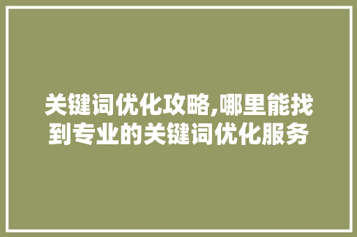 关键词优化攻略,哪里能找到专业的关键词优化服务